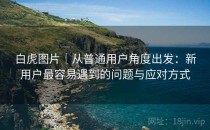 白虎图片｜从普通用户角度出发：新用户最容易遇到的问题与应对方式
