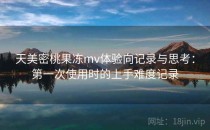 天美密桃果冻mv体验向记录与思考：第一次使用时的上手难度记录