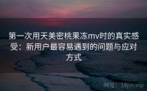 第一次用天美密桃果冻mv时的真实感受：新用户最容易遇到的问题与应对方式