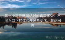 第一次用蘑菇网站时的真实感受：不同入口下的体验差异与变化，蘑菇网片