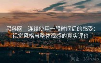 黑料网｜连续使用一段时间后的感受：视觉风格与整体观感的真实评价