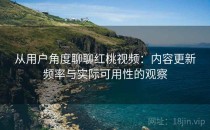 从用户角度聊聊红桃视频：内容更新频率与实际可用性的观察