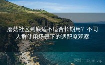 蘑菇社区到底适不适合长期用？不同人群使用场景下的适配度观察
