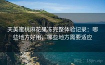 天美蜜桃麻花果冻完整体验记录：哪些地方好用，哪些地方需要适应