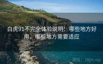 白虎91不完全体验说明：哪些地方好用，哪些地方需要适应