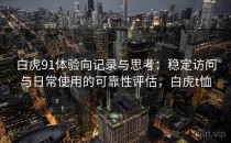 白虎91体验向记录与思考：稳定访问与日常使用的可靠性评估，白虎t恤