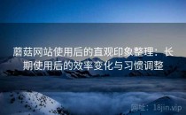 蘑菇网站使用后的直观印象整理：长期使用后的效率变化与习惯调整
