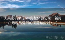 天美密桃果冻mv完整体验记录：新用户最容易遇到的问题与应对方式