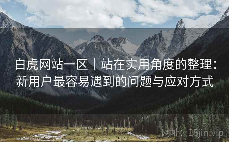 白虎网站一区｜站在实用角度的整理：新用户最容易遇到的问题与应对方式  第1张