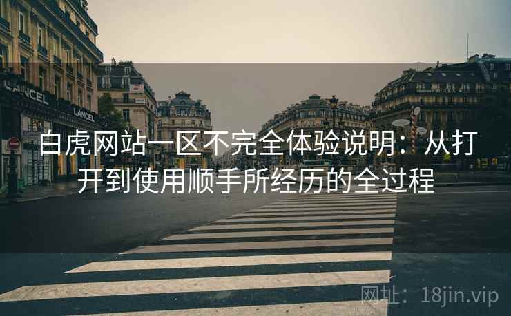 白虎网站一区不完全体验说明：从打开到使用顺手所经历的全过程  第1张