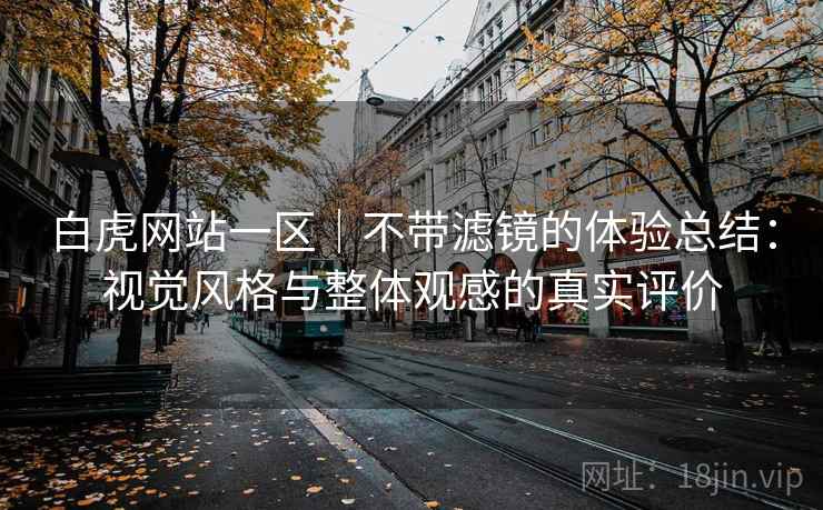 白虎网站一区｜不带滤镜的体验总结：视觉风格与整体观感的真实评价  第2张