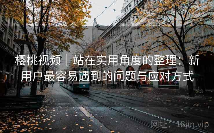 樱桃视频｜站在实用角度的整理：新用户最容易遇到的问题与应对方式  第2张