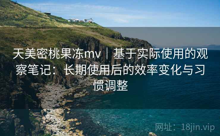 天美密桃果冻mv｜基于实际使用的观察笔记：长期使用后的效率变化与习惯调整  第1张