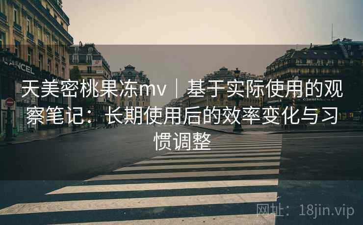 天美密桃果冻mv｜基于实际使用的观察笔记：长期使用后的效率变化与习惯调整  第2张