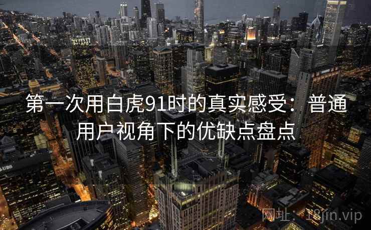 第一次用白虎91时的真实感受：普通用户视角下的优缺点盘点  第2张