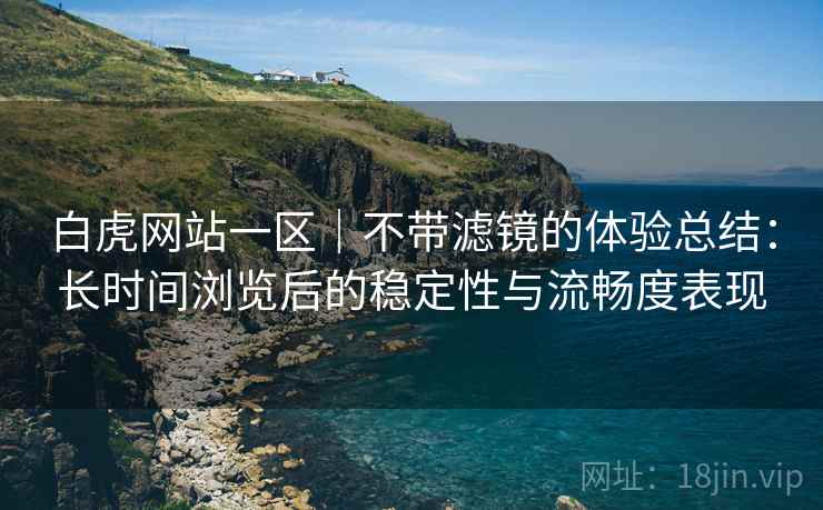 白虎网站一区｜不带滤镜的体验总结：长时间浏览后的稳定性与流畅度表现  第1张
