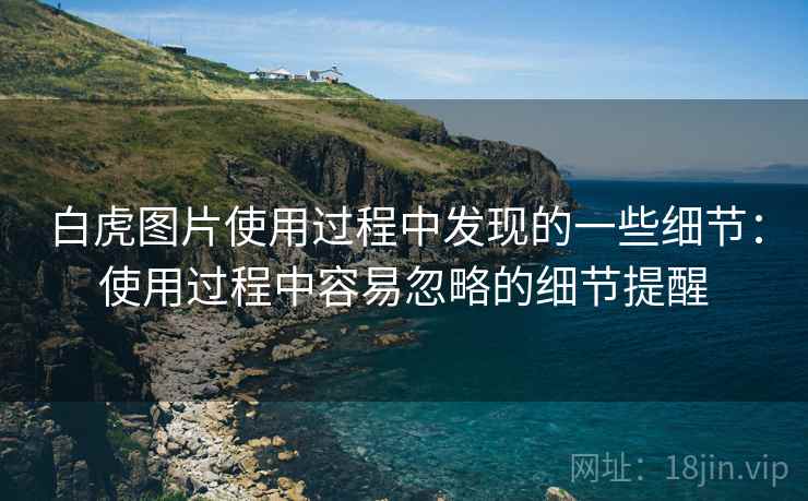 白虎图片使用过程中发现的一些细节:使用过程中容易忽略的细节提醒 第2张 白虎图片使用过程中发现的一些细节:使用过程中容易忽略的细节提醒 第2张