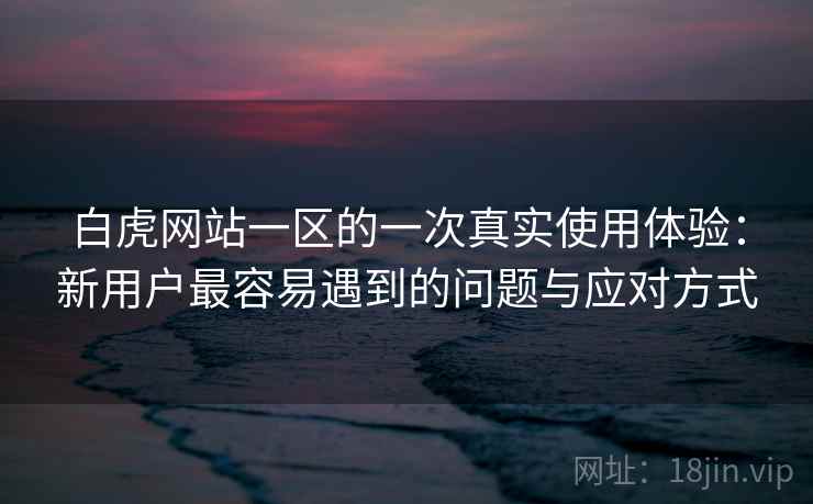 白虎网站一区的一次真实使用体验:新用户最容易遇到的问题与应对方式 第1张 白虎网站一区的一次真实使用体验:新用户最容易遇到的问题与应对方式 第1张