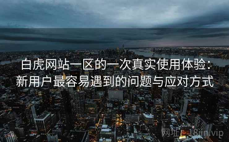 白虎网站一区的一次真实使用体验:新用户最容易遇到的问题与应对方式 第2张 白虎网站一区的一次真实使用体验:新用户最容易遇到的问题与应对方式 第2张