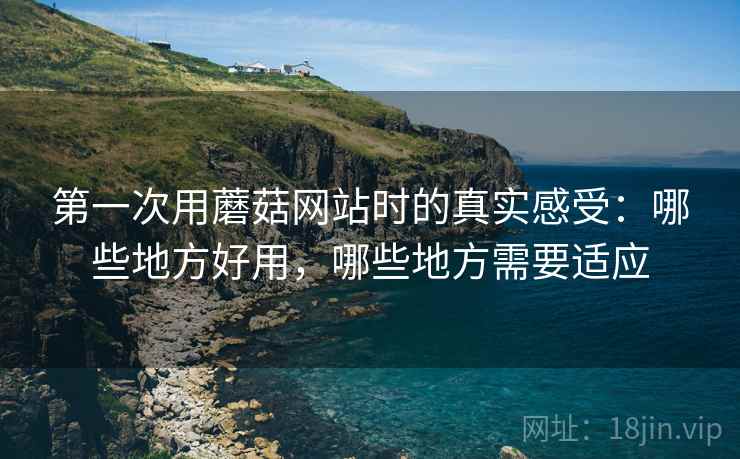 第一次用蘑菇网站时的真实感受:哪些地方好用,哪些地方需要适应 第2张 第一次用蘑菇网站时的真实感受:哪些地方好用,哪些地方需要适应 第2张
