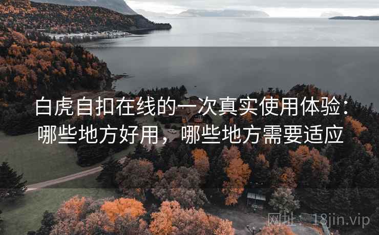 白虎自扣在线的一次真实使用体验:哪些地方好用,哪些地方需要适应 第1张 白虎自扣在线的一次真实使用体验:哪些地方好用,哪些地方需要适应 第1张