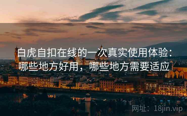 白虎自扣在线的一次真实使用体验:哪些地方好用,哪些地方需要适应 第2张 白虎自扣在线的一次真实使用体验:哪些地方好用,哪些地方需要适应 第2张