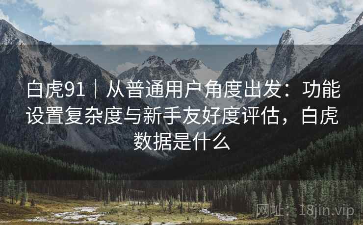白虎91|从普通用户角度出发:功能设置复杂度与新手友好度评估,白虎数据是什么 第2张 白虎91|从普通用户角度出发:功能设置复杂度与新手友好度评估,白虎数据是什么 第2张