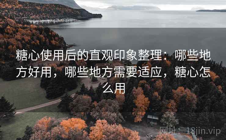 糖心使用后的直观印象整理:哪些地方好用,哪些地方需要适应,糖心怎么用 第1张 糖心使用后的直观印象整理:哪些地方好用,哪些地方需要适应,糖心怎么用 第1张