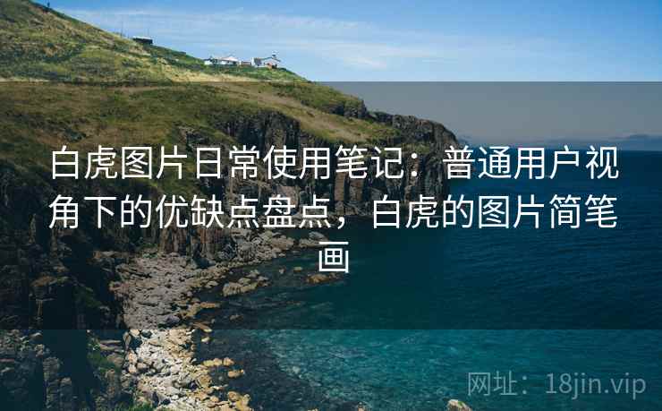 白虎图片日常使用笔记：普通用户视角下的优缺点盘点，白虎的图片简笔画  第2张