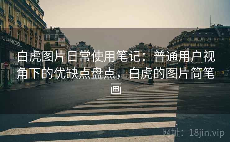 白虎图片日常使用笔记：普通用户视角下的优缺点盘点，白虎的图片简笔画  第1张