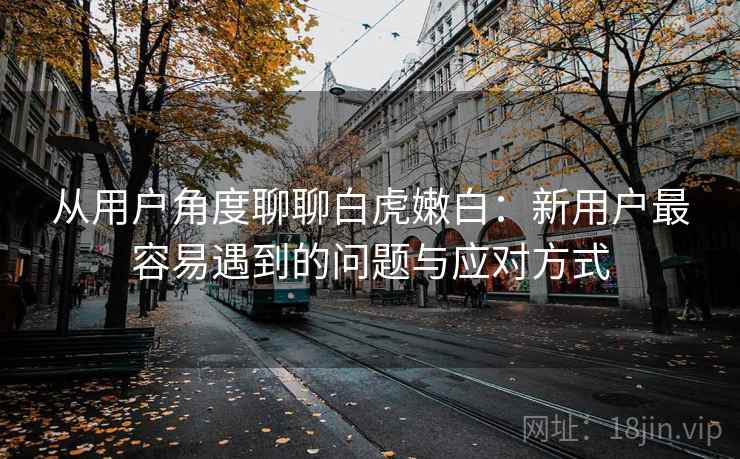 从用户角度聊聊白虎嫩白:新用户最容易遇到的问题与应对方式 第2张 从用户角度聊聊白虎嫩白:新用户最容易遇到的问题与应对方式 第2张
