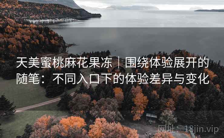 天美蜜桃麻花果冻｜围绕体验展开的随笔：不同入口下的体验差异与变化  第1张