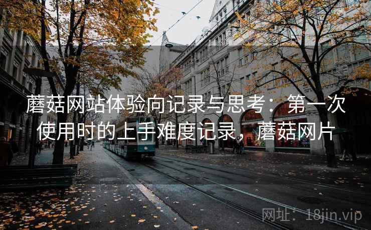 蘑菇网站体验向记录与思考:第一次使用时的上手难度记录,蘑菇网片 第2张 蘑菇网站体验向记录与思考:第一次使用时的上手难度记录,蘑菇网片 第2张
